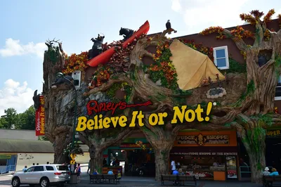 Ripley's Believe It or Not!